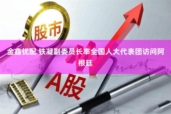 金鑫优配 铁凝副委员长率全国人大代表团访问阿根廷