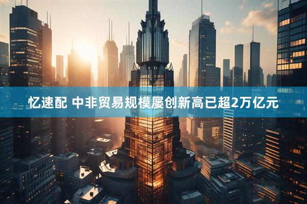 忆速配 中非贸易规模屡创新高已超2万亿元