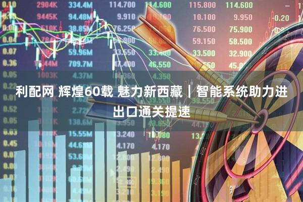 利配网 辉煌60载 魅力新西藏｜智能系统助力进出口通关提速