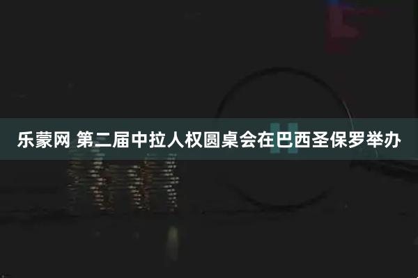 乐蒙网 第二届中拉人权圆桌会在巴西圣保罗举办