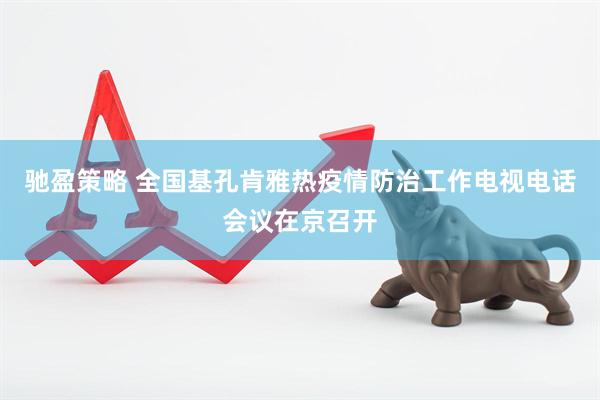 驰盈策略 全国基孔肯雅热疫情防治工作电视电话会议在京召开