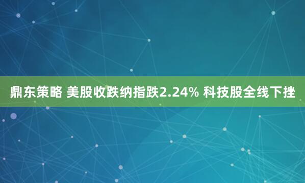 鼎东策略 美股收跌纳指跌2.24% 科技股全线下挫