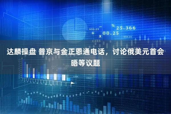 达麟操盘 普京与金正恩通电话，讨论俄美元首会晤等议题