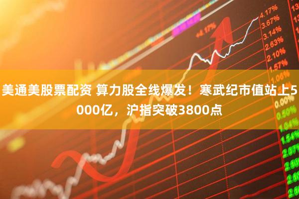 美通美股票配资 算力股全线爆发！寒武纪市值站上5000亿，沪指突破3800点
