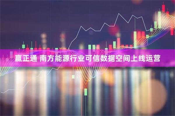 赢正通 南方能源行业可信数据空间上线运营