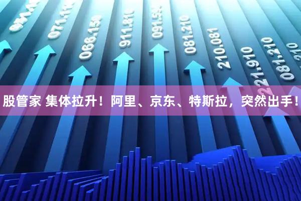 股管家 集体拉升！阿里、京东、特斯拉，突然出手！