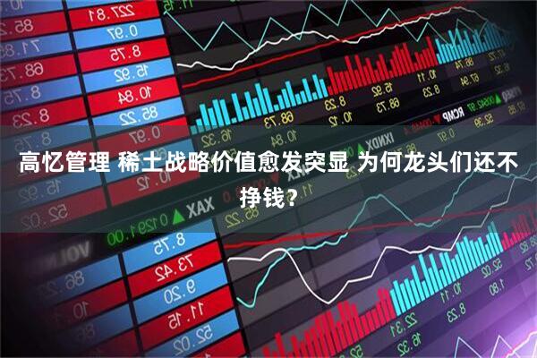 高忆管理 稀土战略价值愈发突显 为何龙头们还不挣钱？