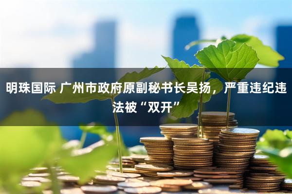 明珠国际 广州市政府原副秘书长吴扬，严重违纪违法被“双开”