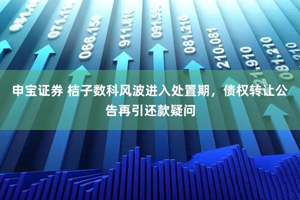申宝证券 桔子数科风波进入处置期，债权转让公告再引还款疑问